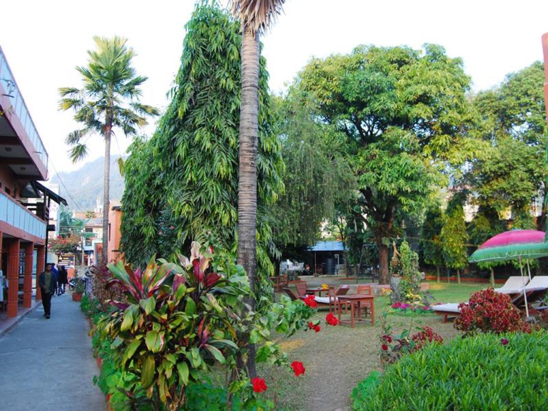 逃出蝴蝶小屋游戏攻略(逃出蝴蝶小屋游戏攻略图文)