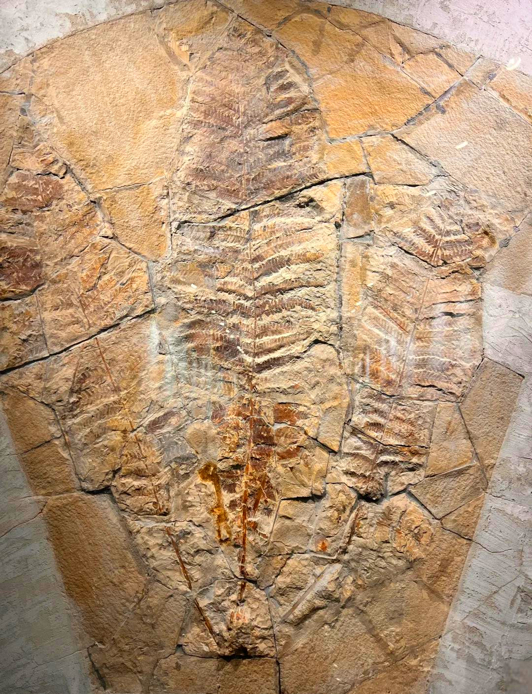 远古王国的宝石(远古王国的宝石有哪些)