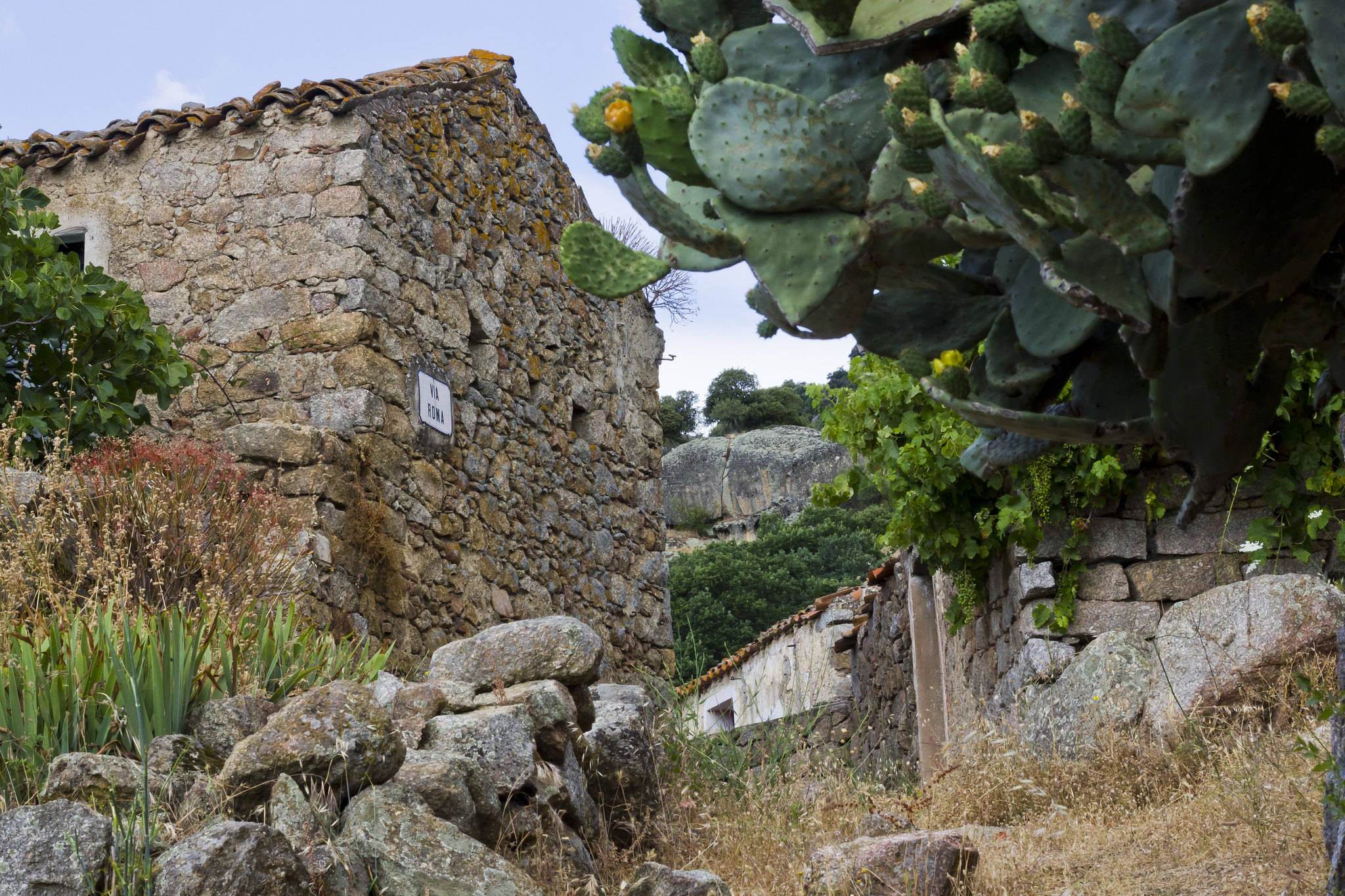 荒废村庄逃脱攻略(荒废村庄逃脱攻略大全)