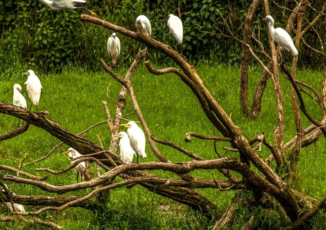 2025年10月5日 第63页