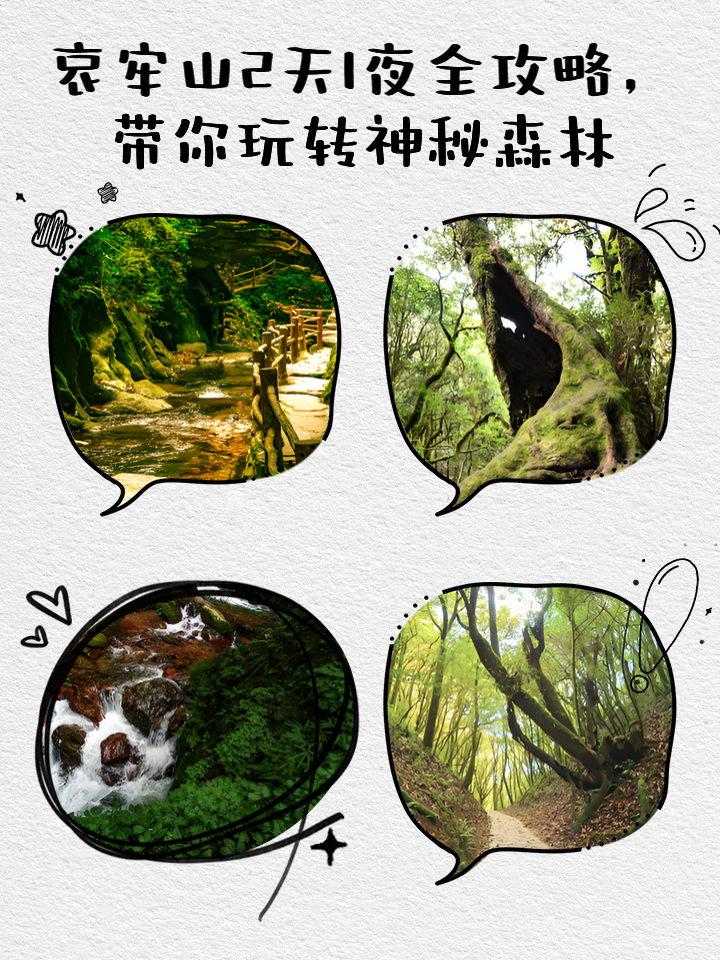 神秘丛林逃脱攻略(神秘的丛林探险之旅)