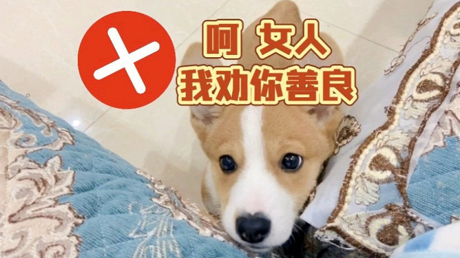 我劝你善良破解版最新(我劝你善良破解版边伯贤)