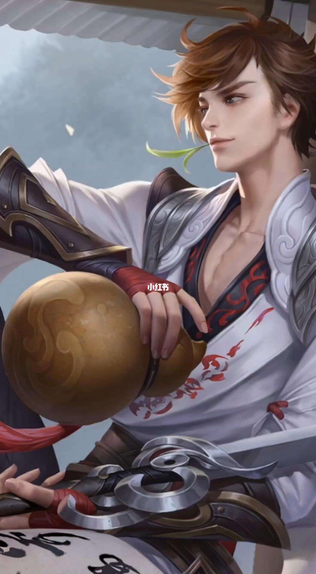 王者荣耀男英雄软件(王者荣耀男英雄我都行)