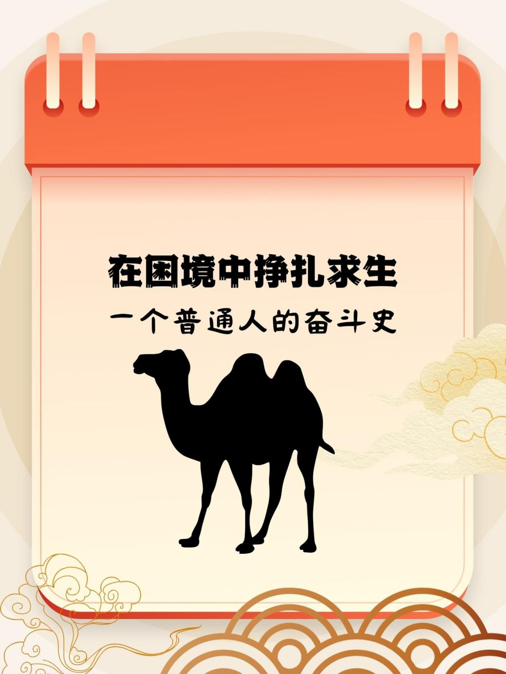 梦想生活故事下载地址(梦想生活05apk)