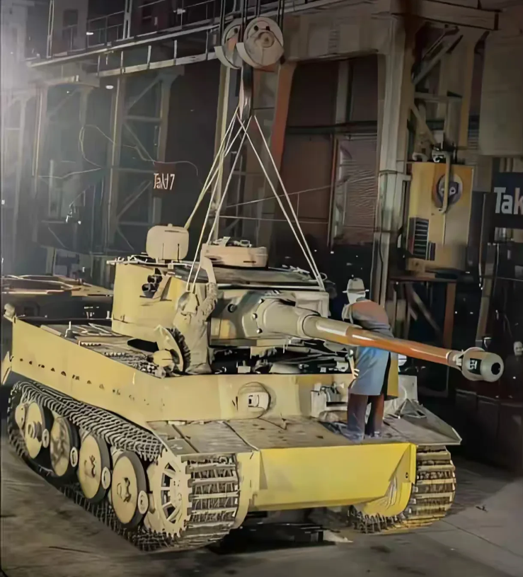 荒废的殖民地里的武器(荒废的殖民地里的武器在哪)