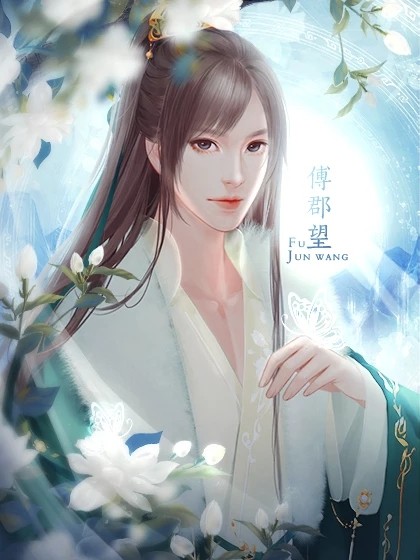 橙光妃游戏破解版(橙光游戏破解版完结2大全)