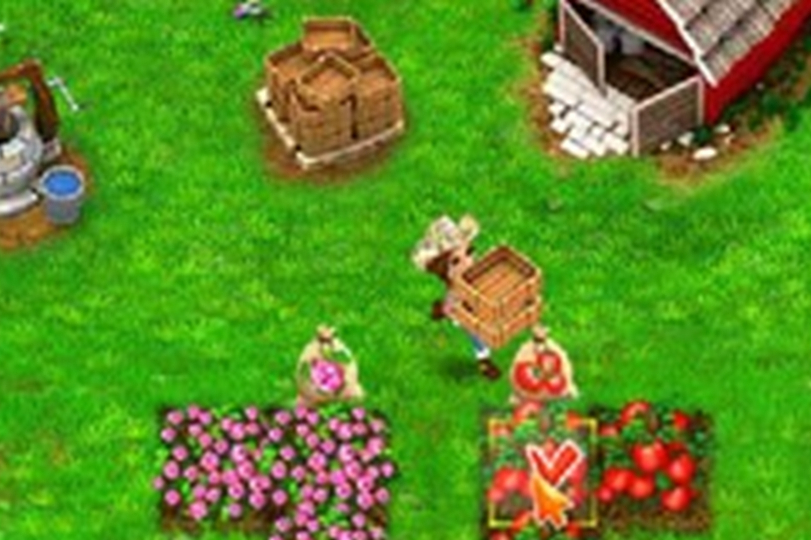 逃出鲜花森林小游戏攻略(逃出鲜花森林小游戏攻略视频)