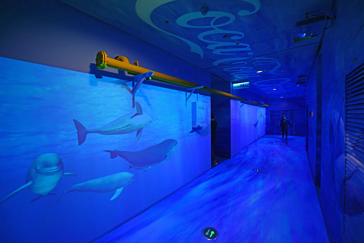 水族馆逃脱攻略(水族馆游戏攻略图鉴)