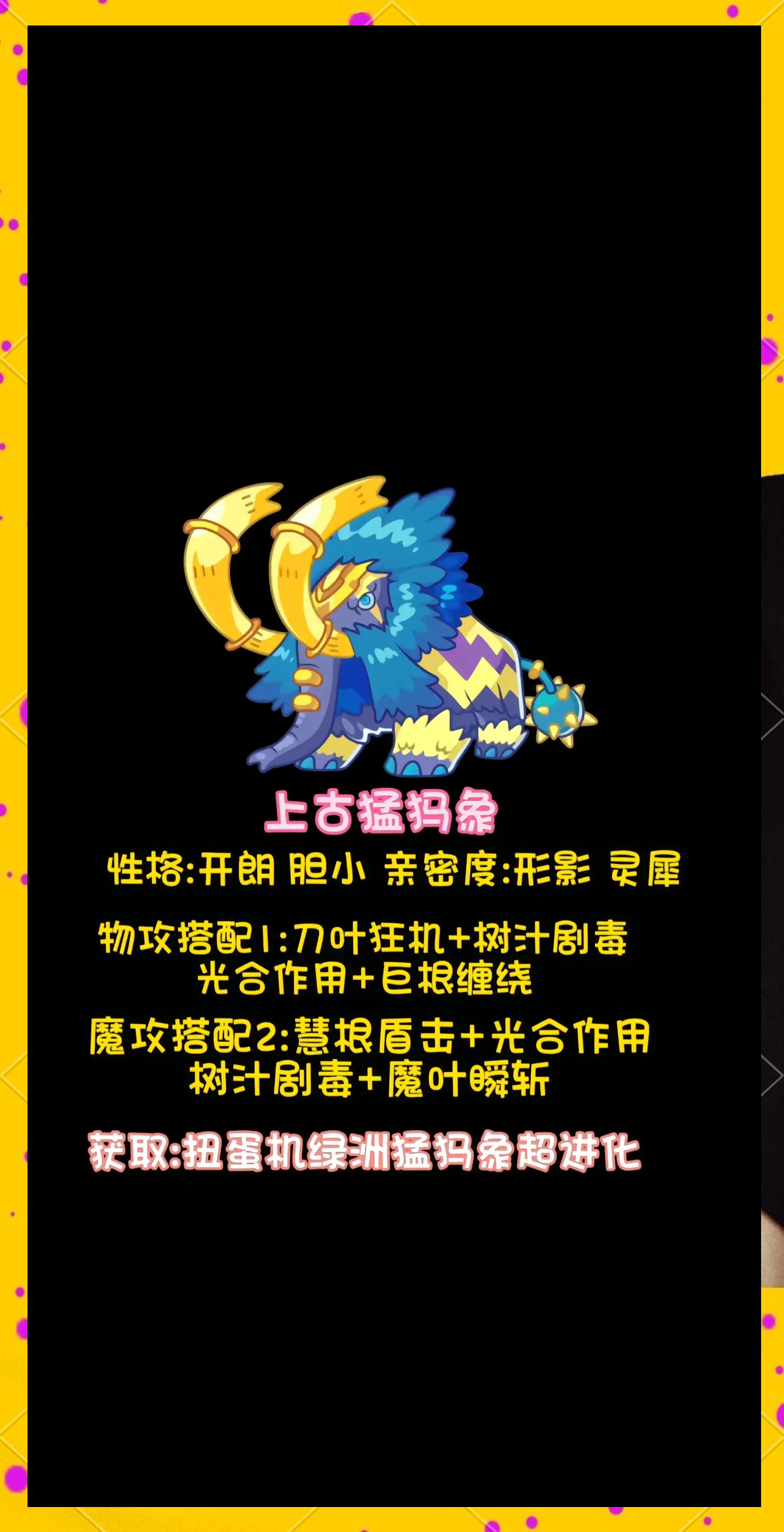 洛克王国鉴定宠物(洛克王国怎么鉴定宠物)