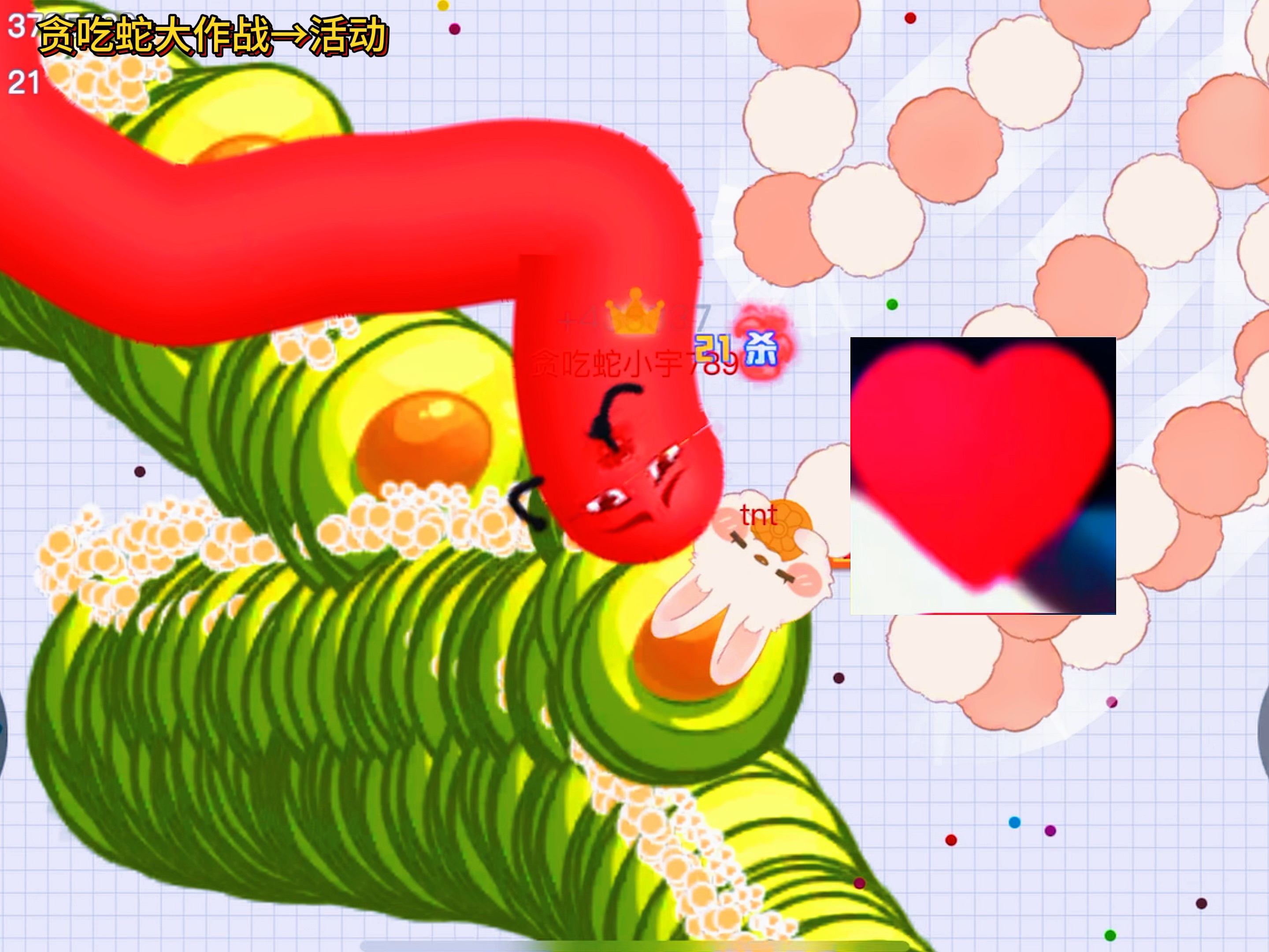 贪吃蛇大作战最低版本(贪吃蛇大作战最低版本是什么)