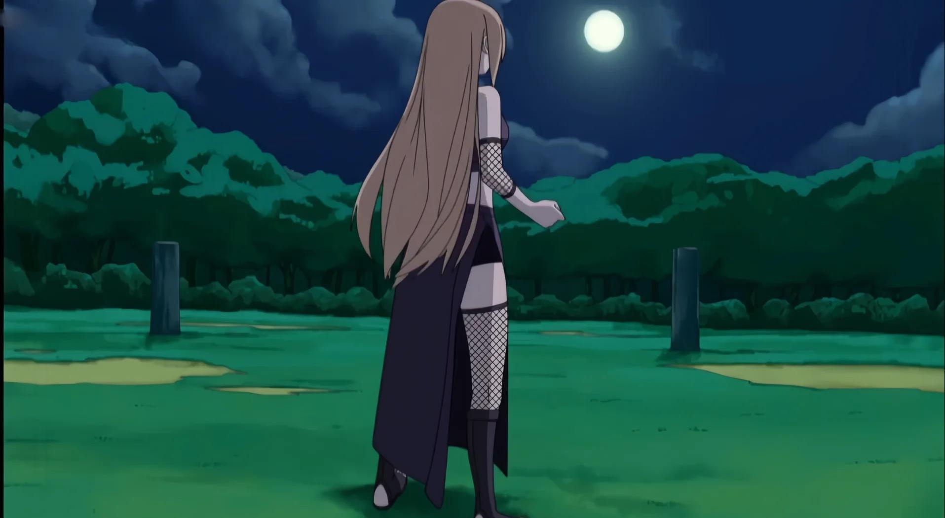 忍者后宫游戏破解版下载(忍者后宫13安卓版下载)