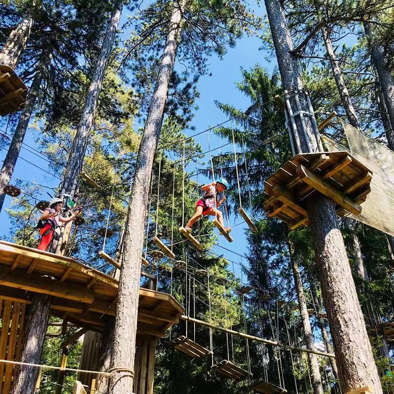逃离荒废丛林攻略(逃离荒废丛林攻略大全)