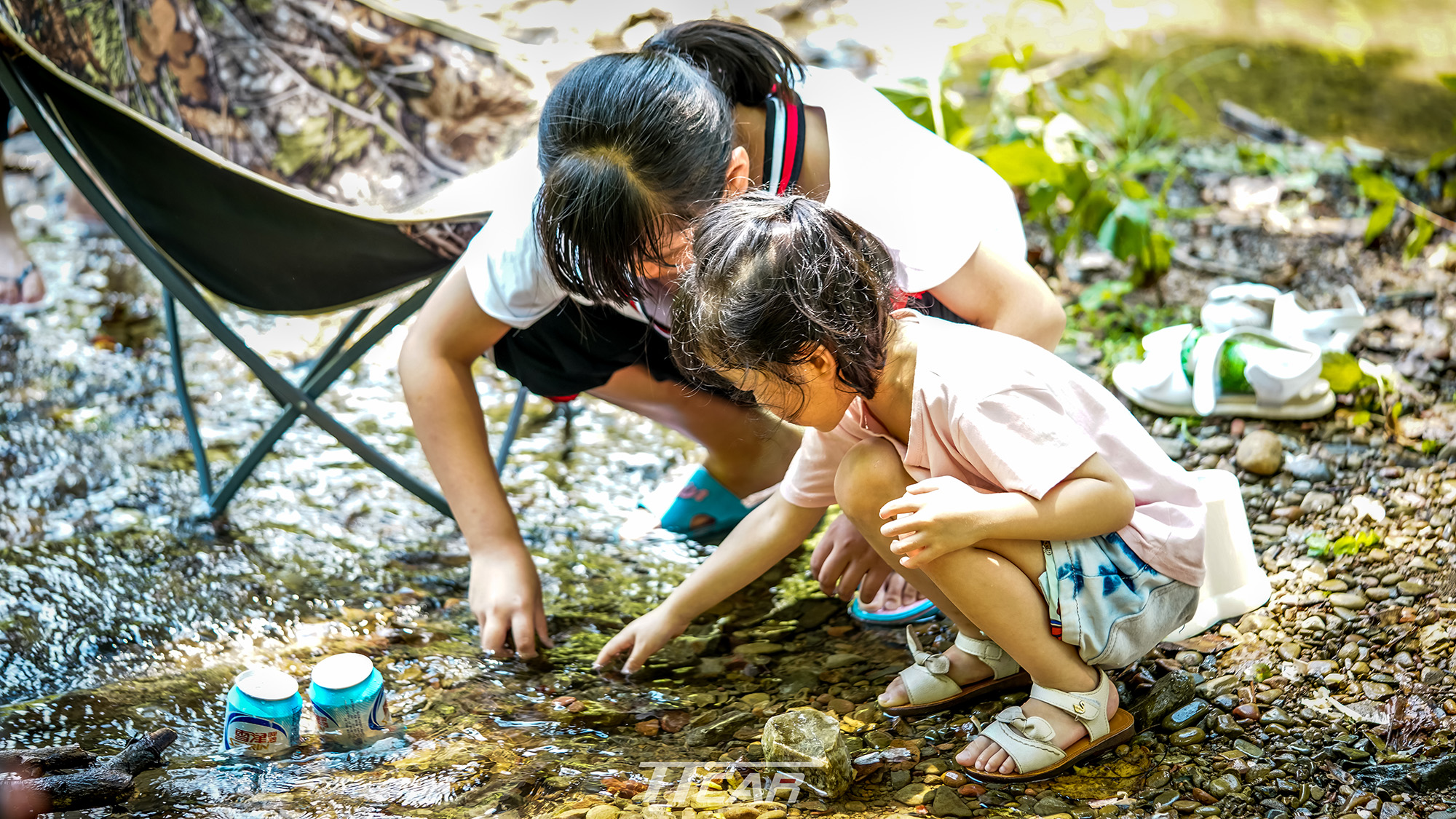 逃离荒废丛林攻略(逃离荒废丛林攻略大全)