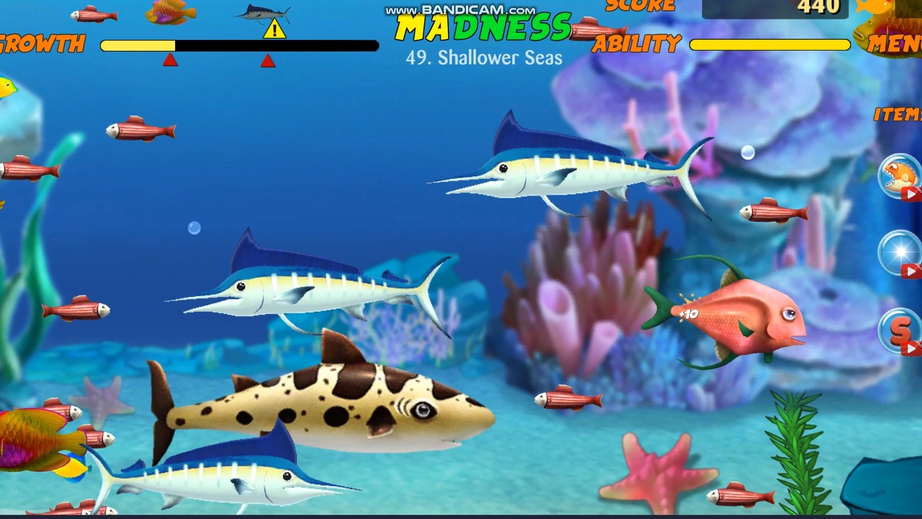 大鱼吃小鱼三人版本(大鱼吃小鱼三人版下载)