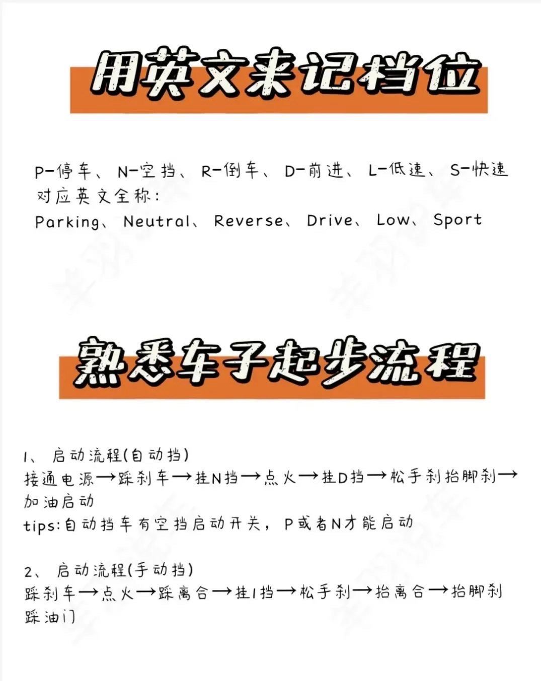 与美女飙车游戏攻略(与美女飙车游戏攻略大全)