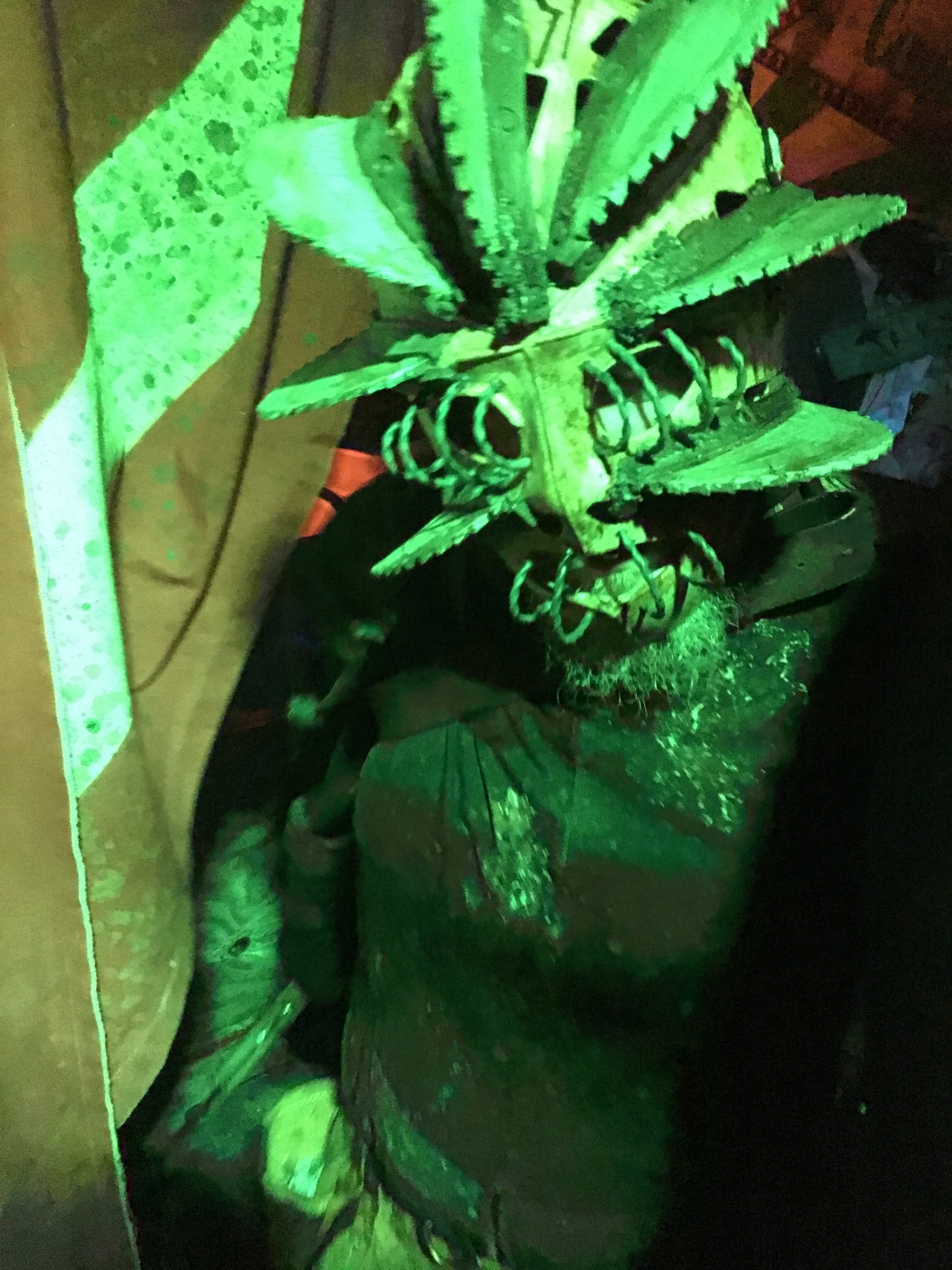 2025年10月9日 第136页