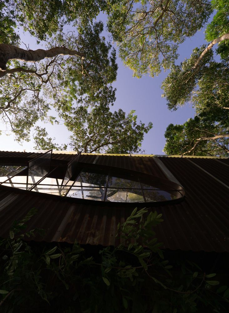 逃离湖边树屋攻略(逃离湖中小屋小游戏攻略)