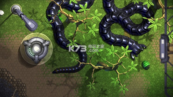 绿色虫子的游戏下载地址(绿色虫子图片大全图片有毒的)