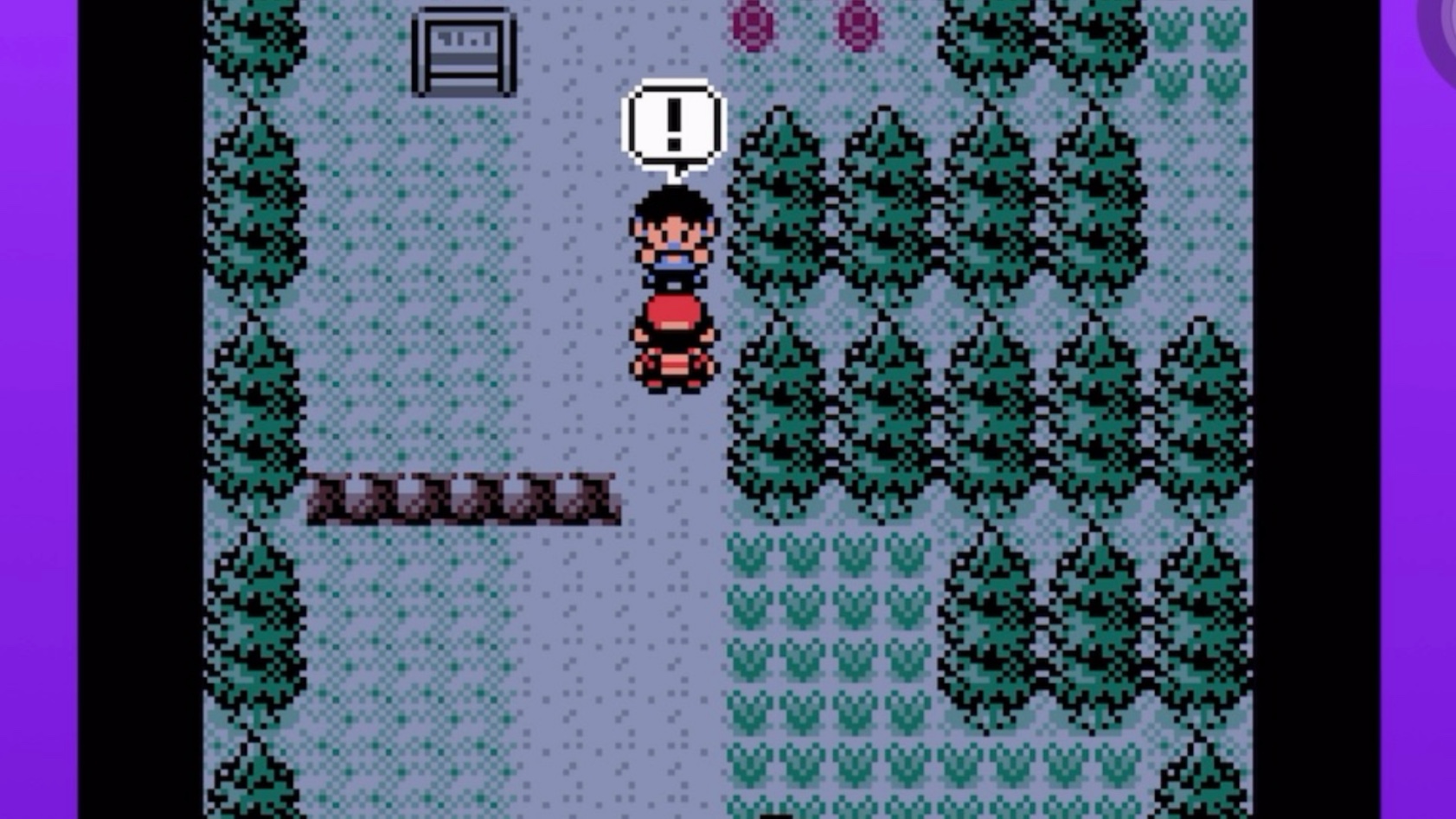 口袋妖怪金图文攻略(口袋妖怪金图文攻略完整版)