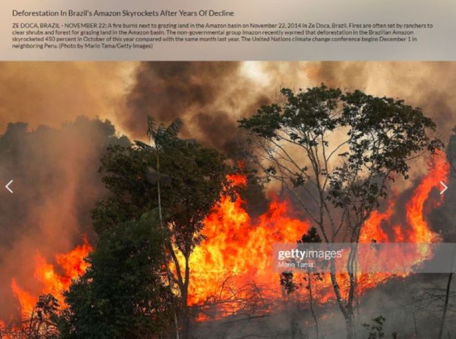 愤怒的牧场攻略(愤怒的牧场手机版)