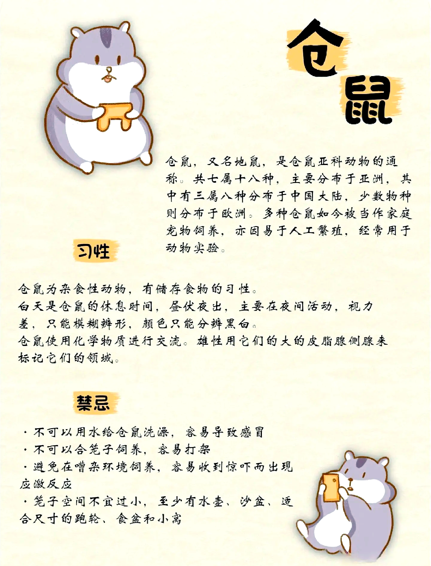 特技仓鼠攻略(仓鼠的特殊技能)