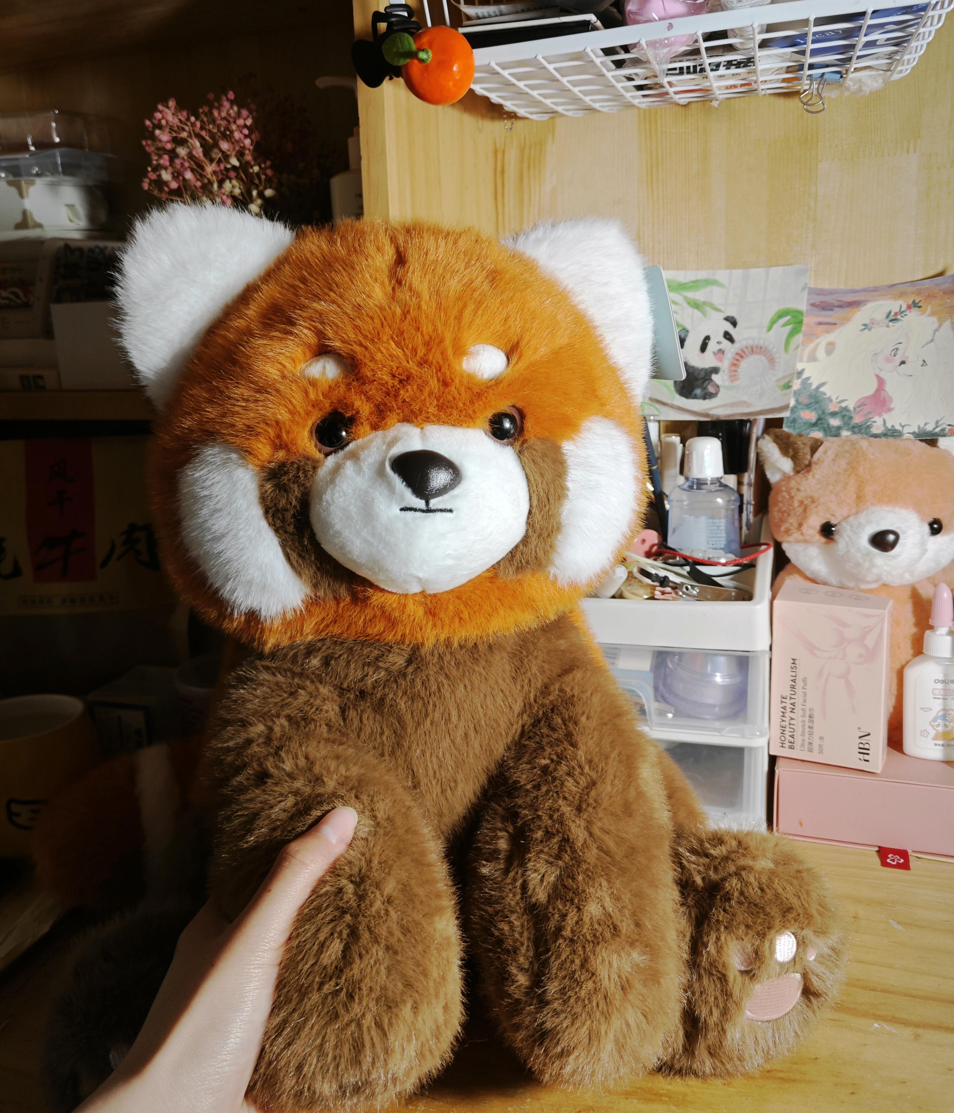 神庙逃亡有狗熊熊(神庙逃亡那个怪兽叫什么)