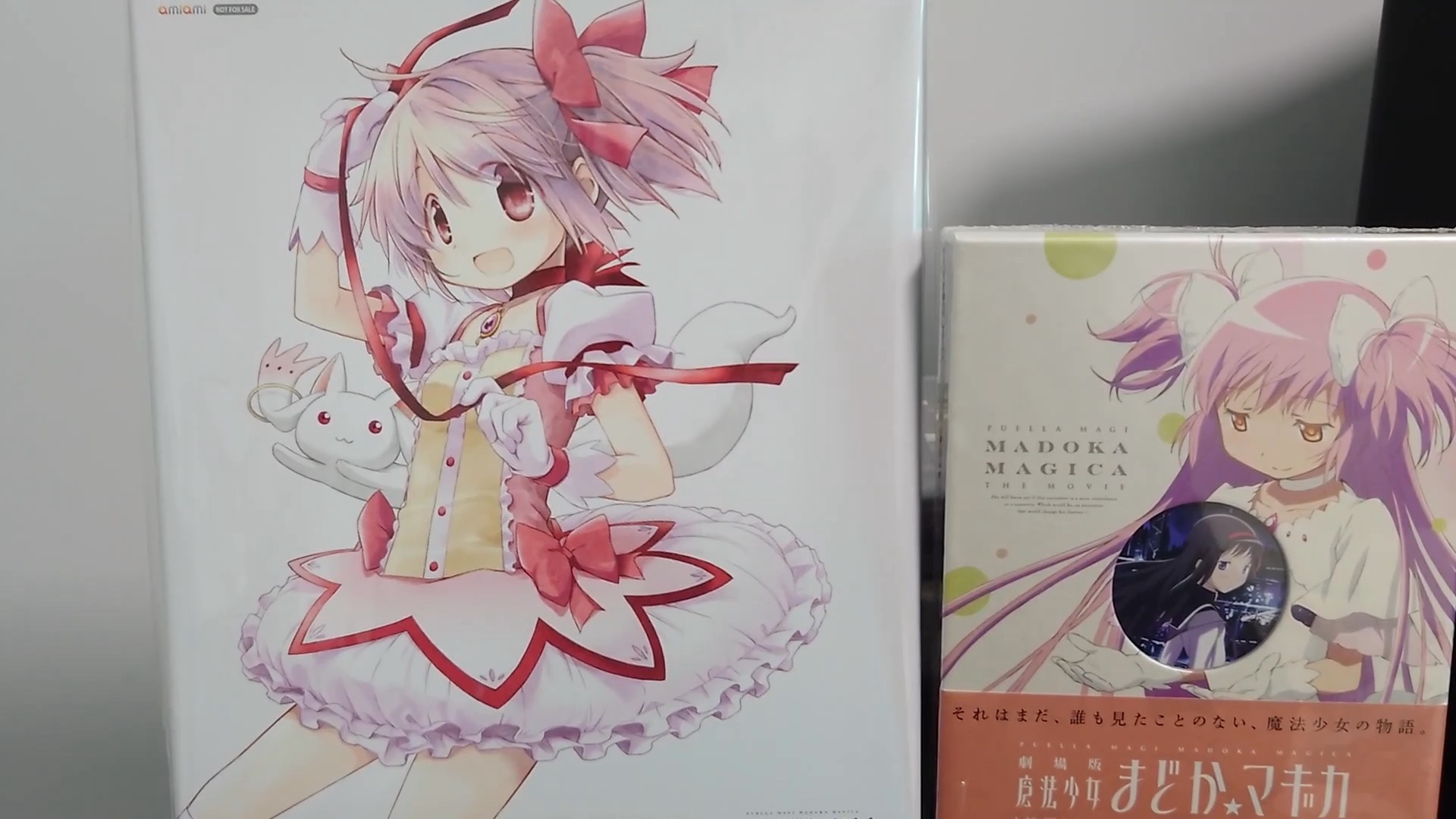 花小圆1.036版本()