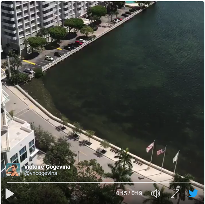 逃离鬼城的攻略(逃离鬼城的攻略大全)