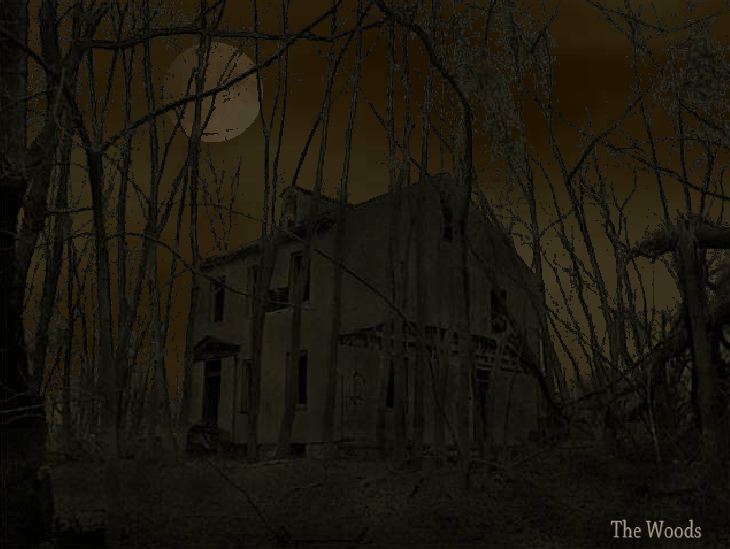 森林山村逃脱攻略(森林山村逃脱攻略视频)