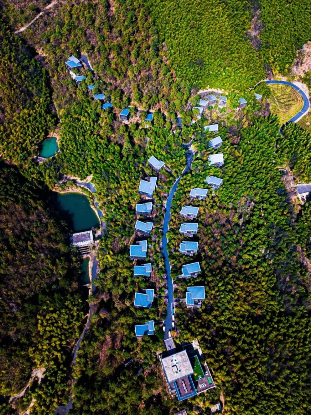 逃离树屋攻略(逃脱树桩怎么用)