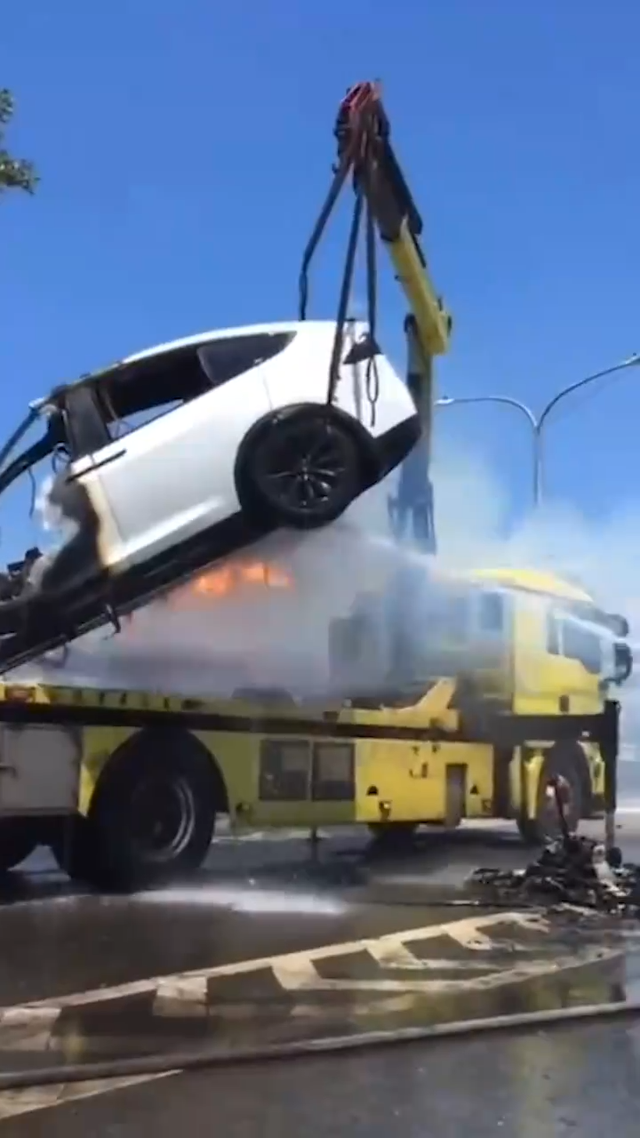 废弃的电车逃脱攻略(废弃的动物园逃脱攻略)