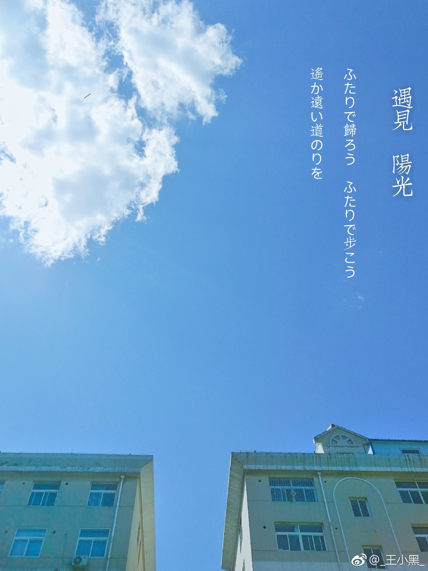 因为是你攻略(因为是你小说知乎)