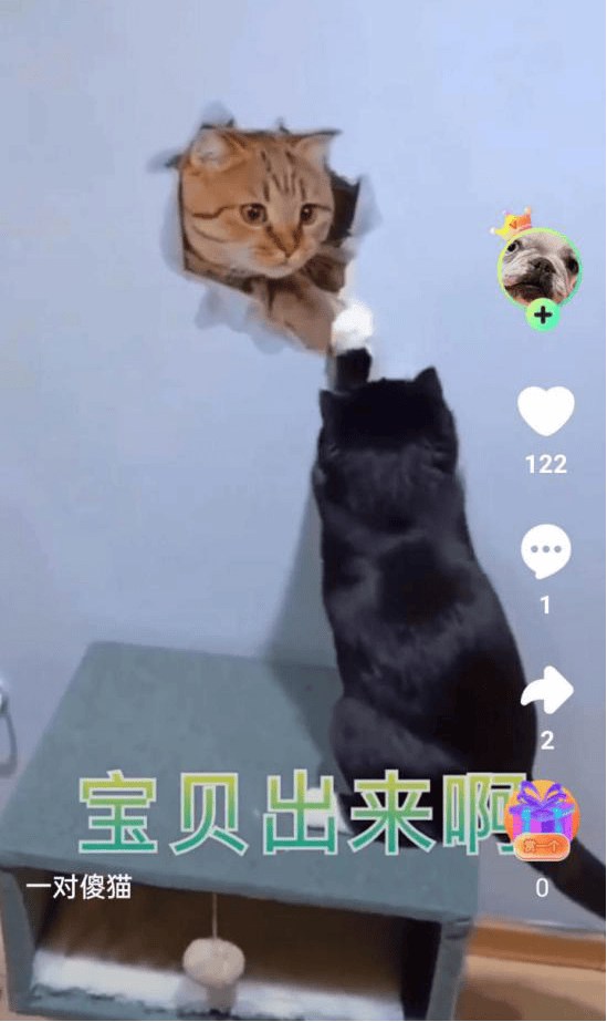 秘乐官方最新版本(秘乐官方最新版本是哪个)