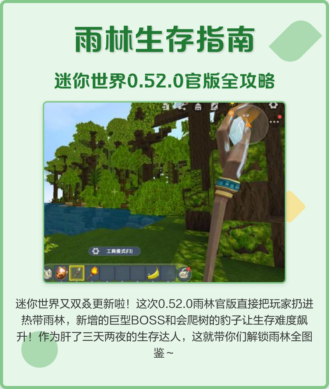 迷你世界雨林联机地图(迷你世界雨林联机地图在哪)