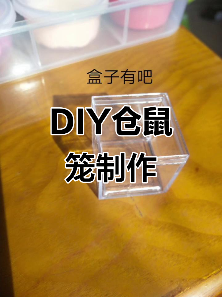 苍鼠家园破解版(苍鼠家园破解版下载安装)