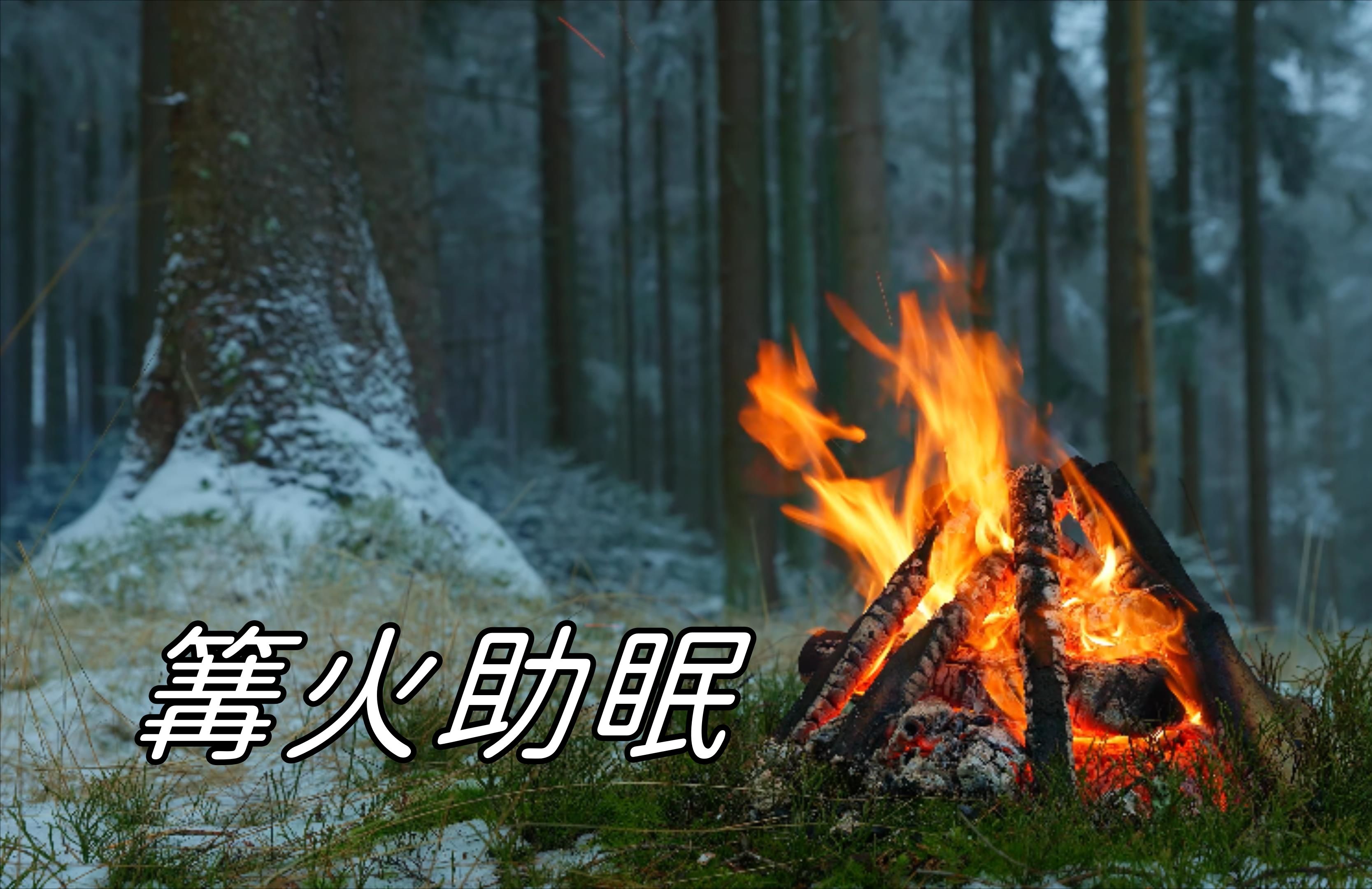 2025年10月13日 第11页