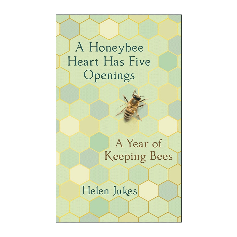 蜜蜂王国英语(长沙蜜蜂王国英语)