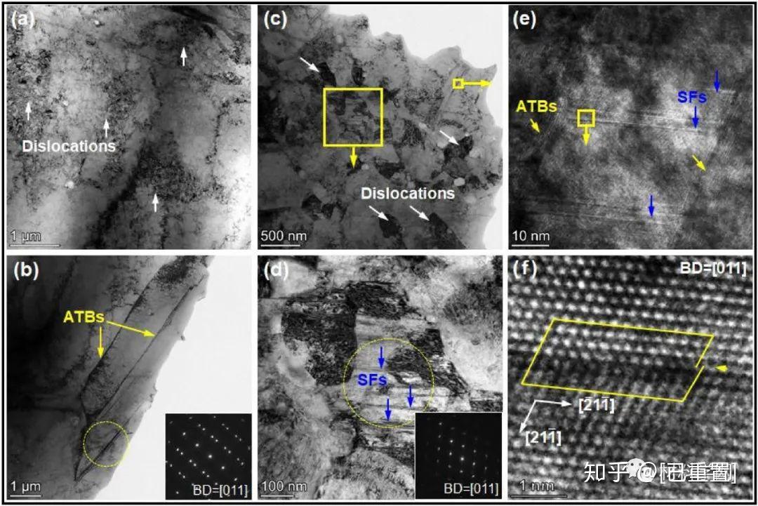细胞破解版无限熵(细胞进化游戏破解版无限金币)
