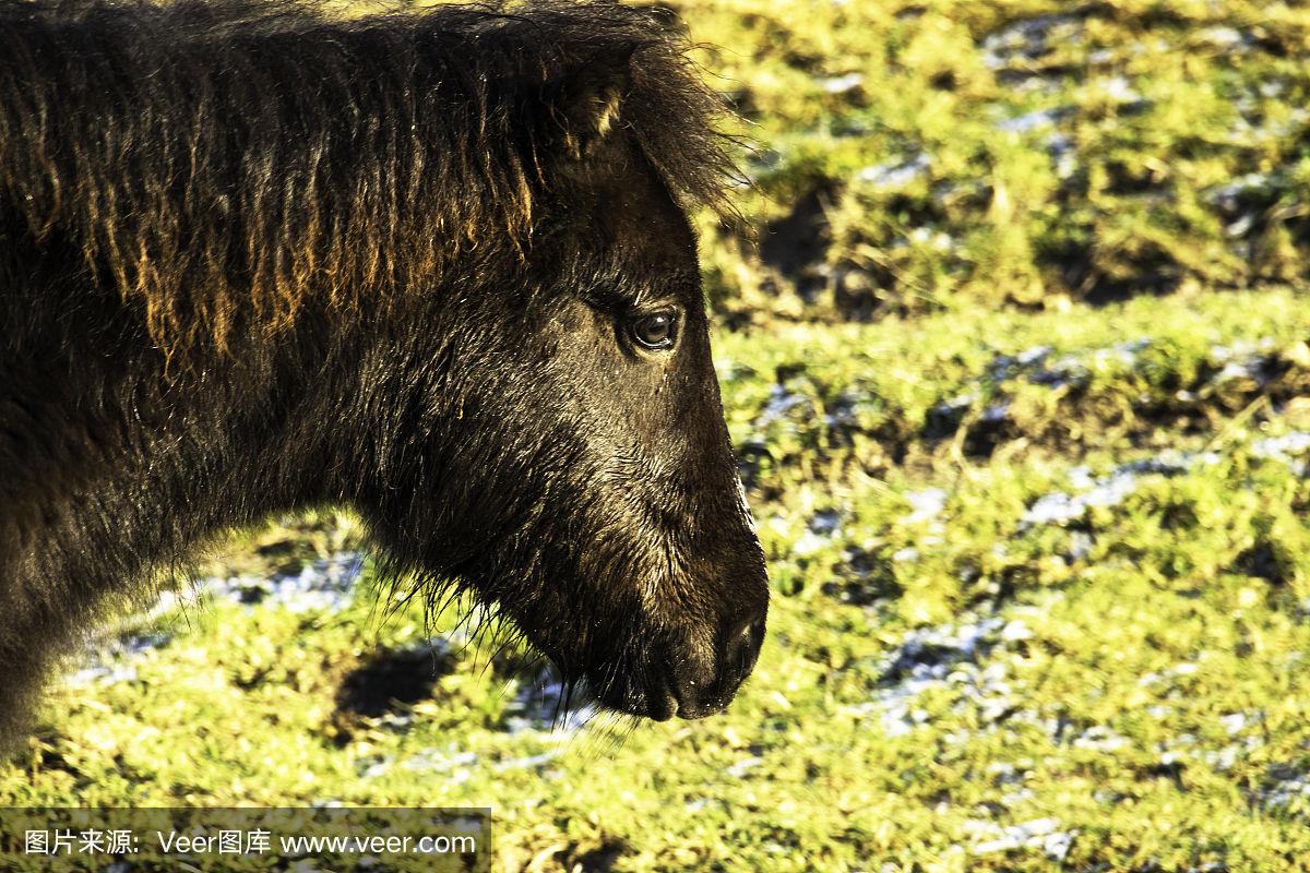 2025年10月14日 第160页