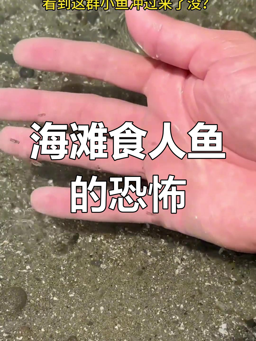 2025年10月14日 第101页