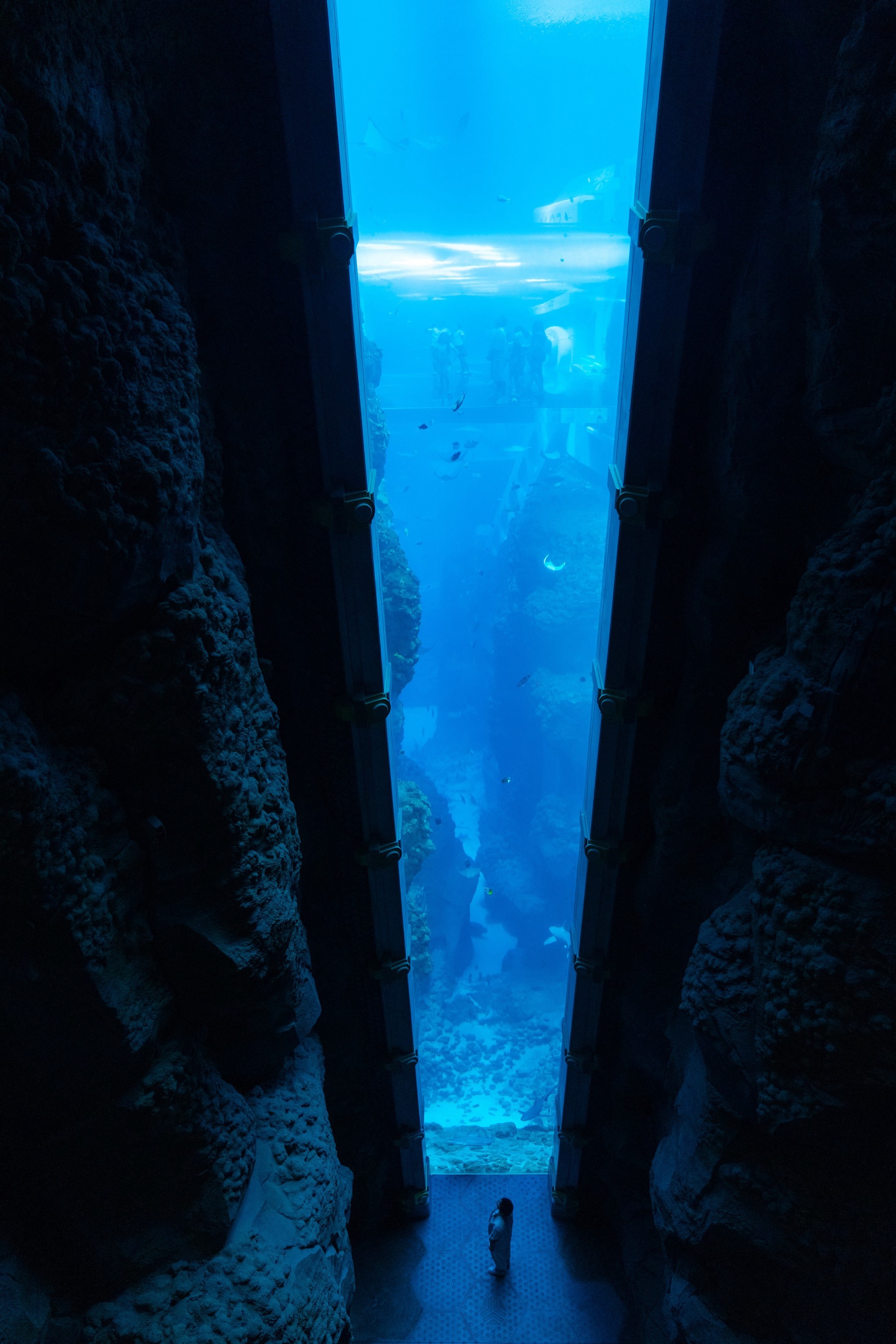 梦幻海底没有装饰塔(梦幻西游海底沉船在哪)