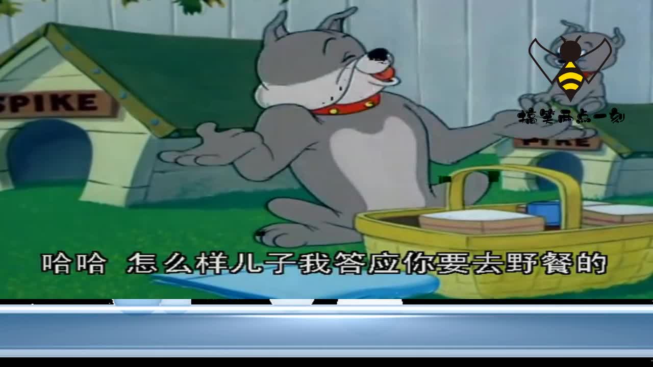 猫和老鼠过河攻略(猫和老鼠过河攻略大全)