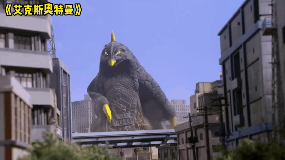 2025年10月15日 第191页