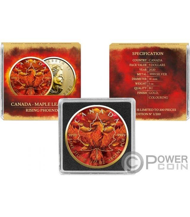 浴火凤凰游戏攻略(浴火凤凰下一句是什么)