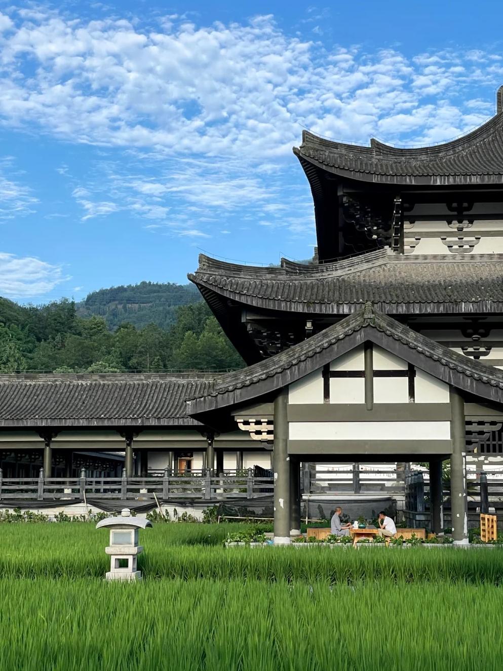 逃离亚洲寺庙攻略(逃离亚卡拉是真实故事吗)