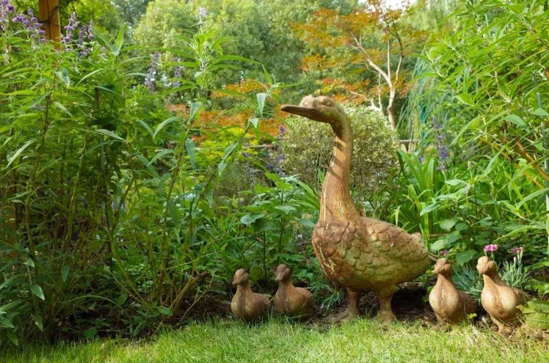 小狗逃离花园攻略(小狗逃离花园攻略图文)