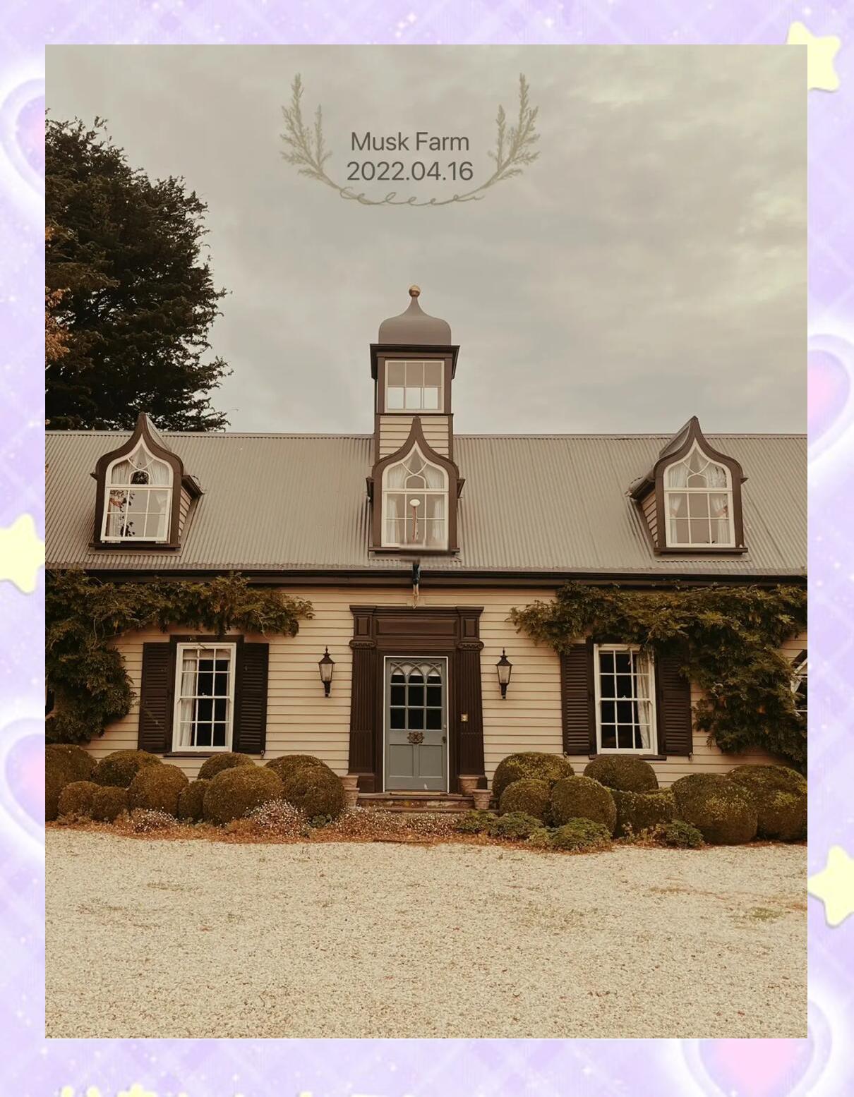 梦幻花园复活节在那里(梦幻花园错过的活动还会复出吗)