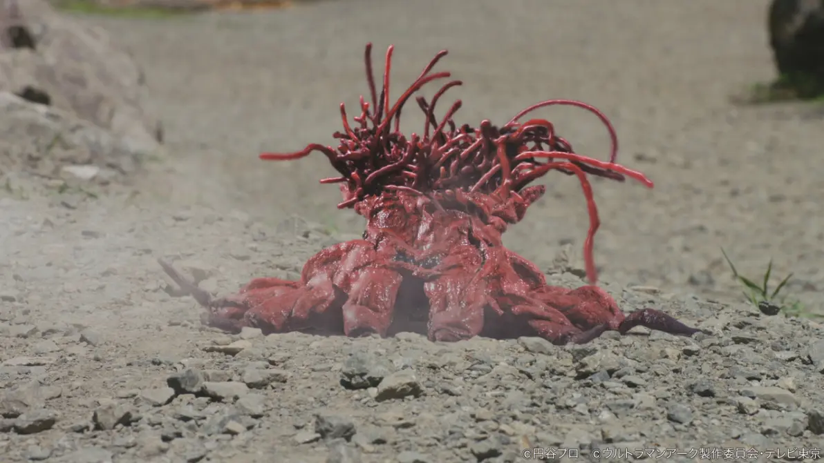 森林发现奥特曼(森林奥特曼奥特曼)