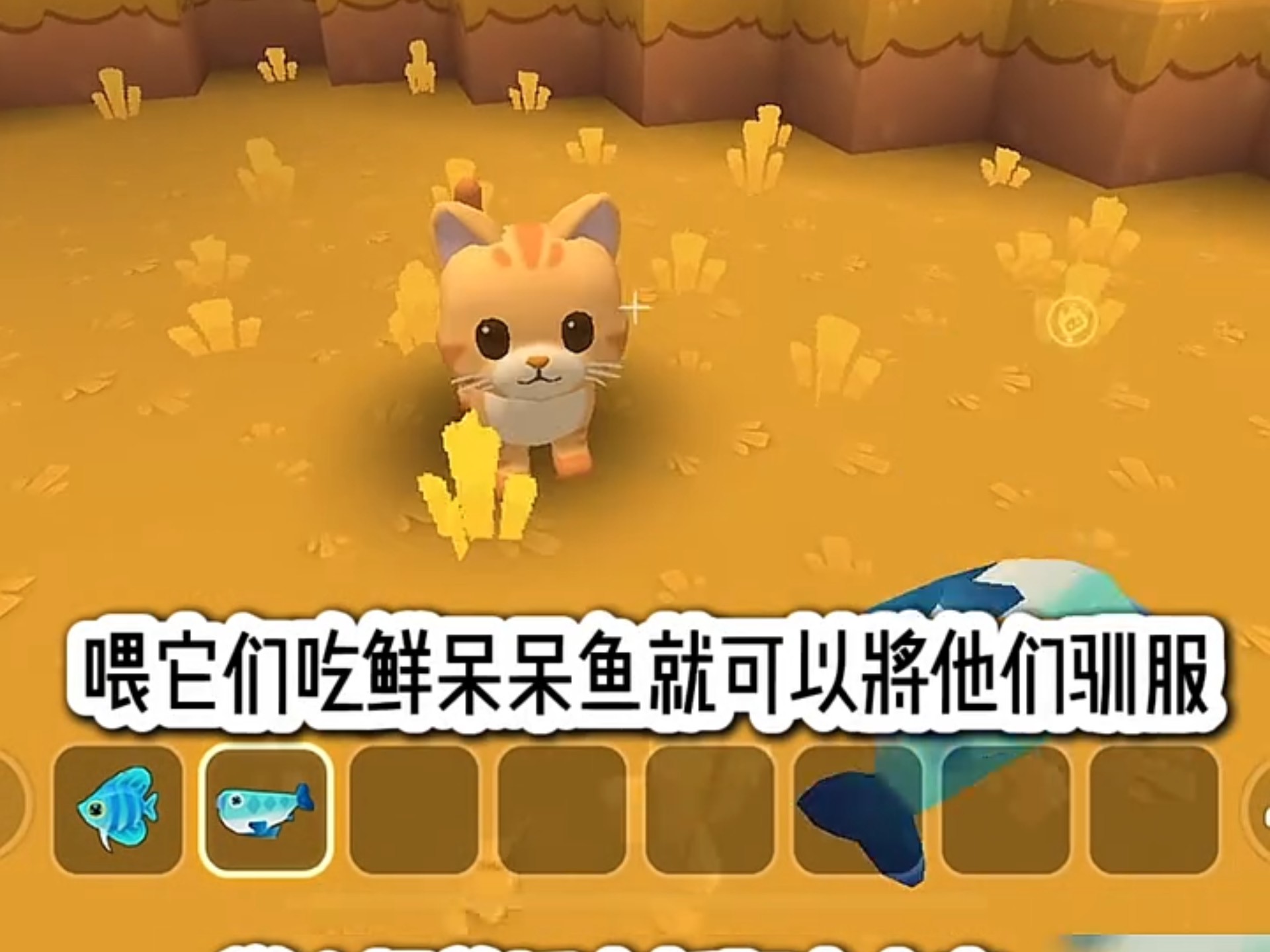 迷你世界小游戏看的(迷你世界小游戏看的视频)