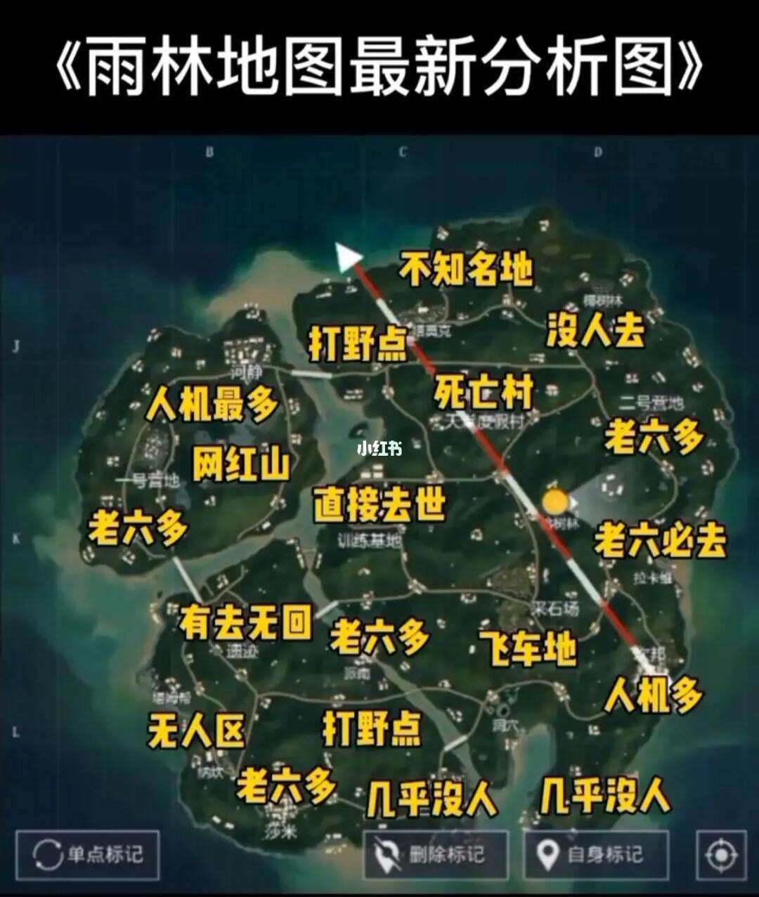 迷你世界玩雨林地图(迷你世界雨林地图长什么样子)